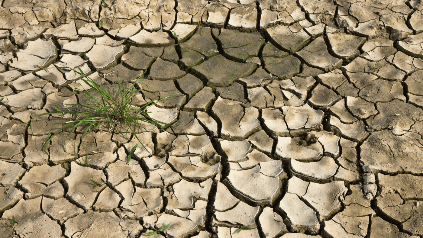 desertification leads to water shortage